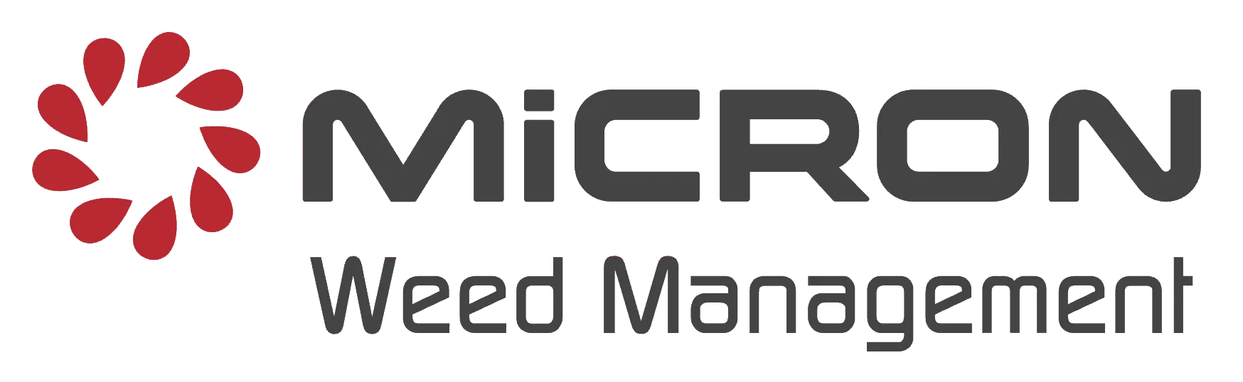 Micron